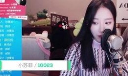 皱鸡在线观看,揭秘皱鸡世界的趣味之旅