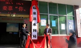 临泉网红最新爆料新闻,揭秘背后惊人真相！