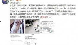 爆料范冰冰近况视频在线观看,揭秘复出之路的艰辛与蜕变